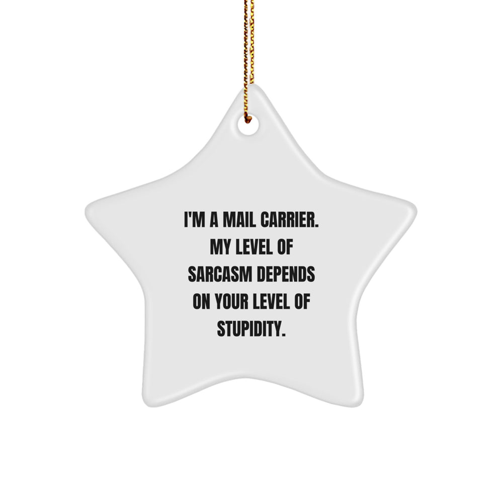 Funny Mail Carrier Gifts from Friends for Christmas - Star Ornament with Sarcasm Quote, Perfect for Coworkers, Family, or Mail Carrier Appreciation - Image 1