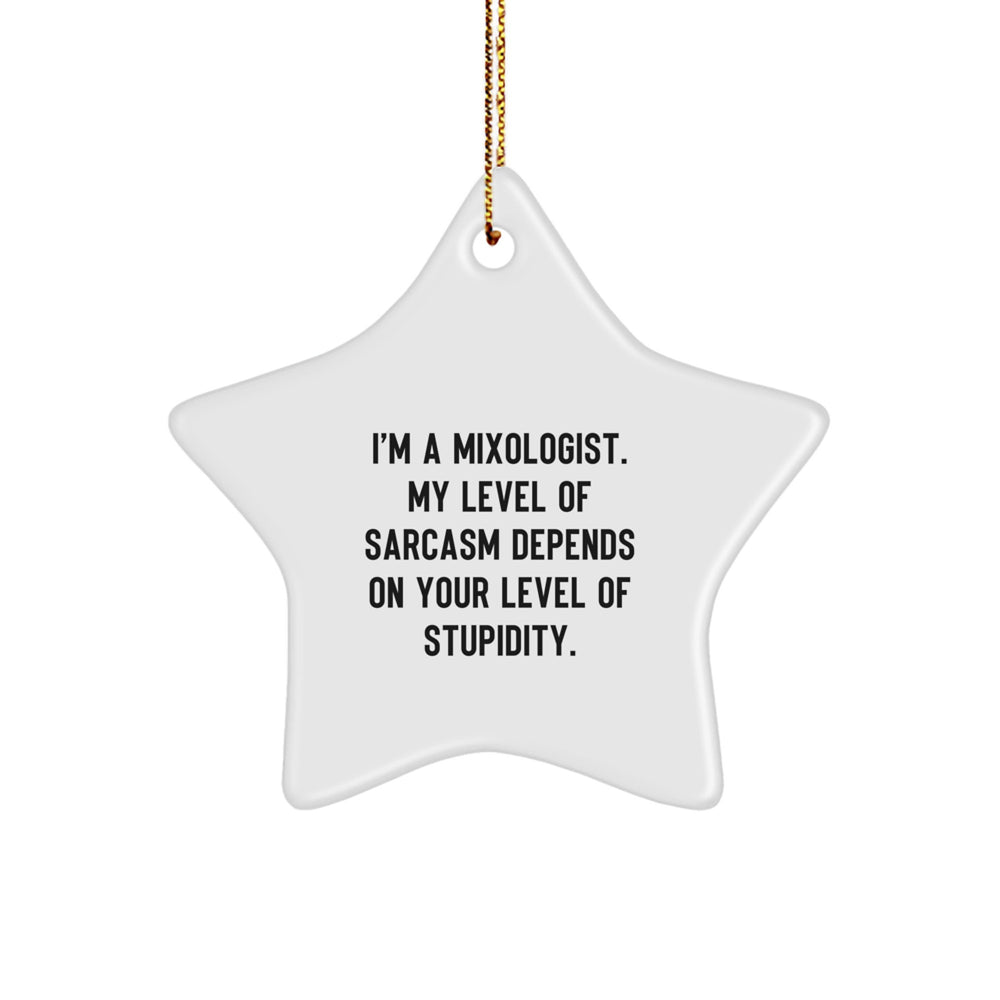 Funny Mixologist Gifts from Friends, Unique Star Ornament for Men, Women, Coworkers, Family on Christmas - I'm A Mixologist, My Level Of Sarcasm Depends On Your Level Of Stupidity. - Image 1