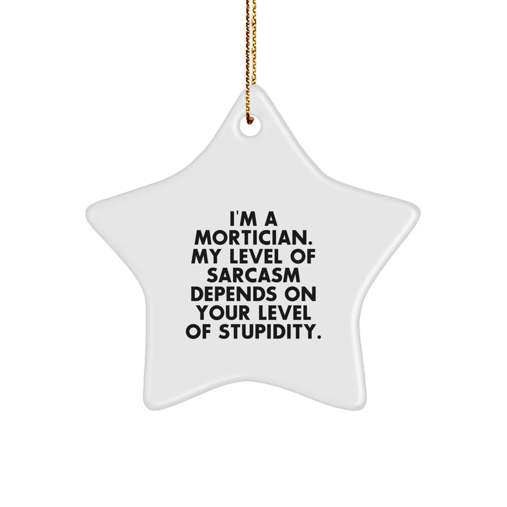 Gifts from Friends and Family for Mortician - Funny Mortician Star Ornament for Christmas Unique Gifts - Image 1