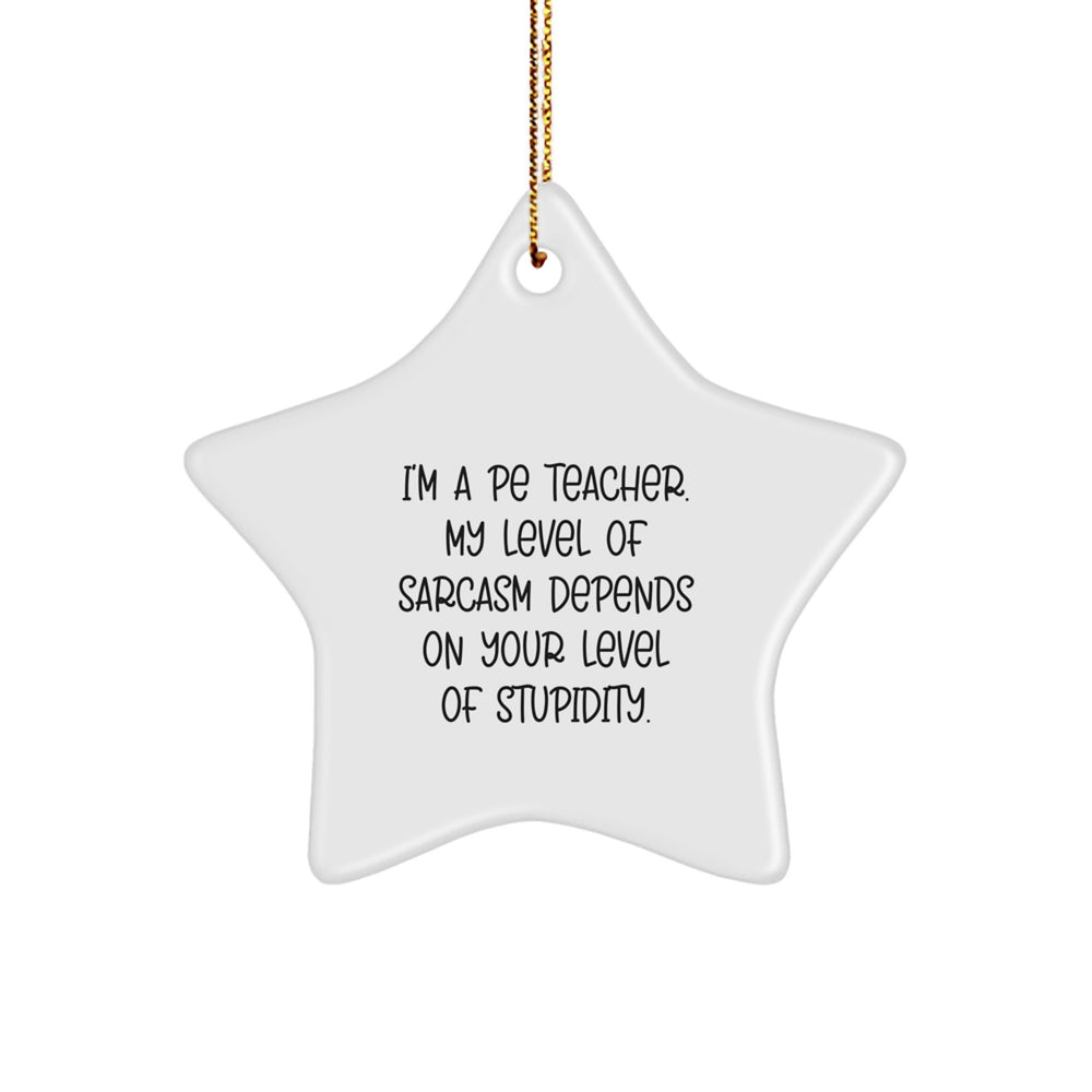 Funny PE Teacher Gifts for Men - I'm A PE Teacher Sarcasm Star Ornament, White, Christmas Unique Presents from Friends - Image 1