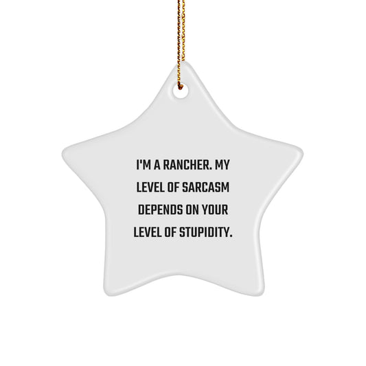 Funny Rancher Gifts from Friends for Men Star Ornament - Sarcasm Christmas Decoration - Image 1