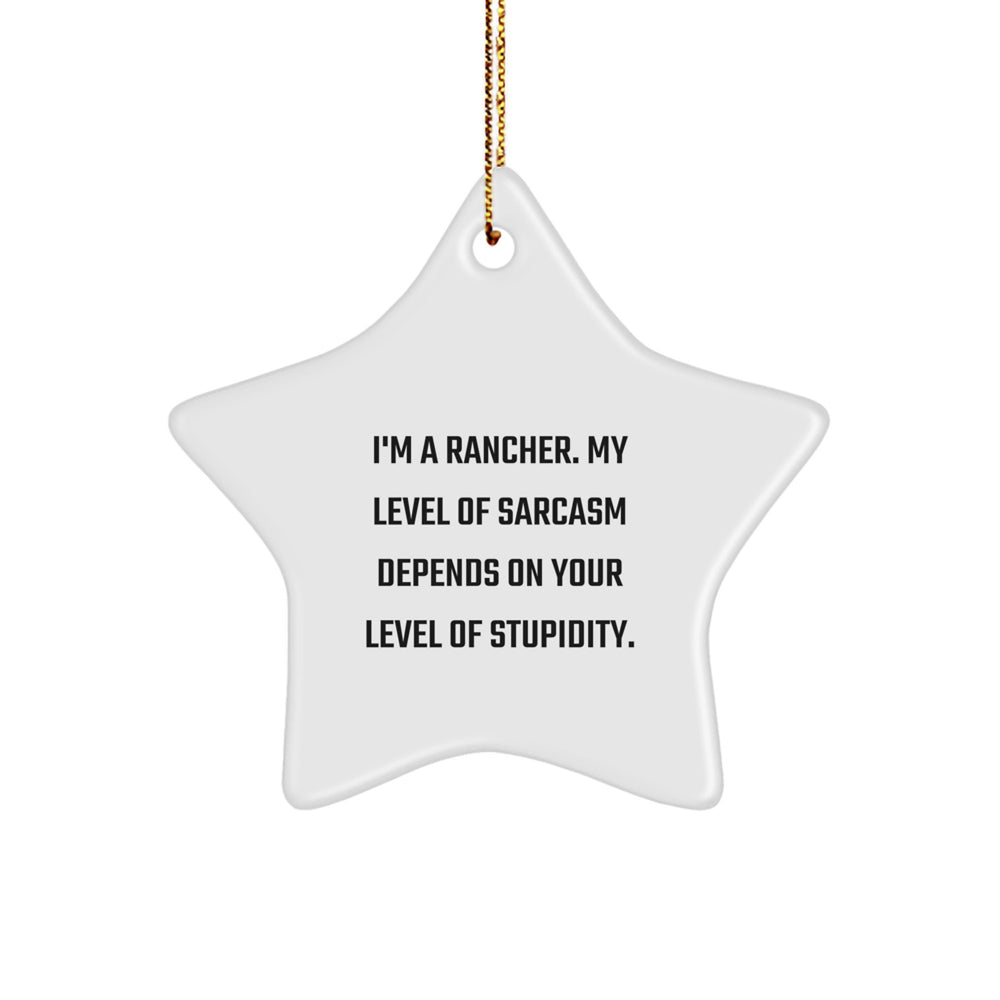 Funny Rancher Gifts from Friends for Men Star Ornament - Sarcasm Christmas Decoration - Image 1