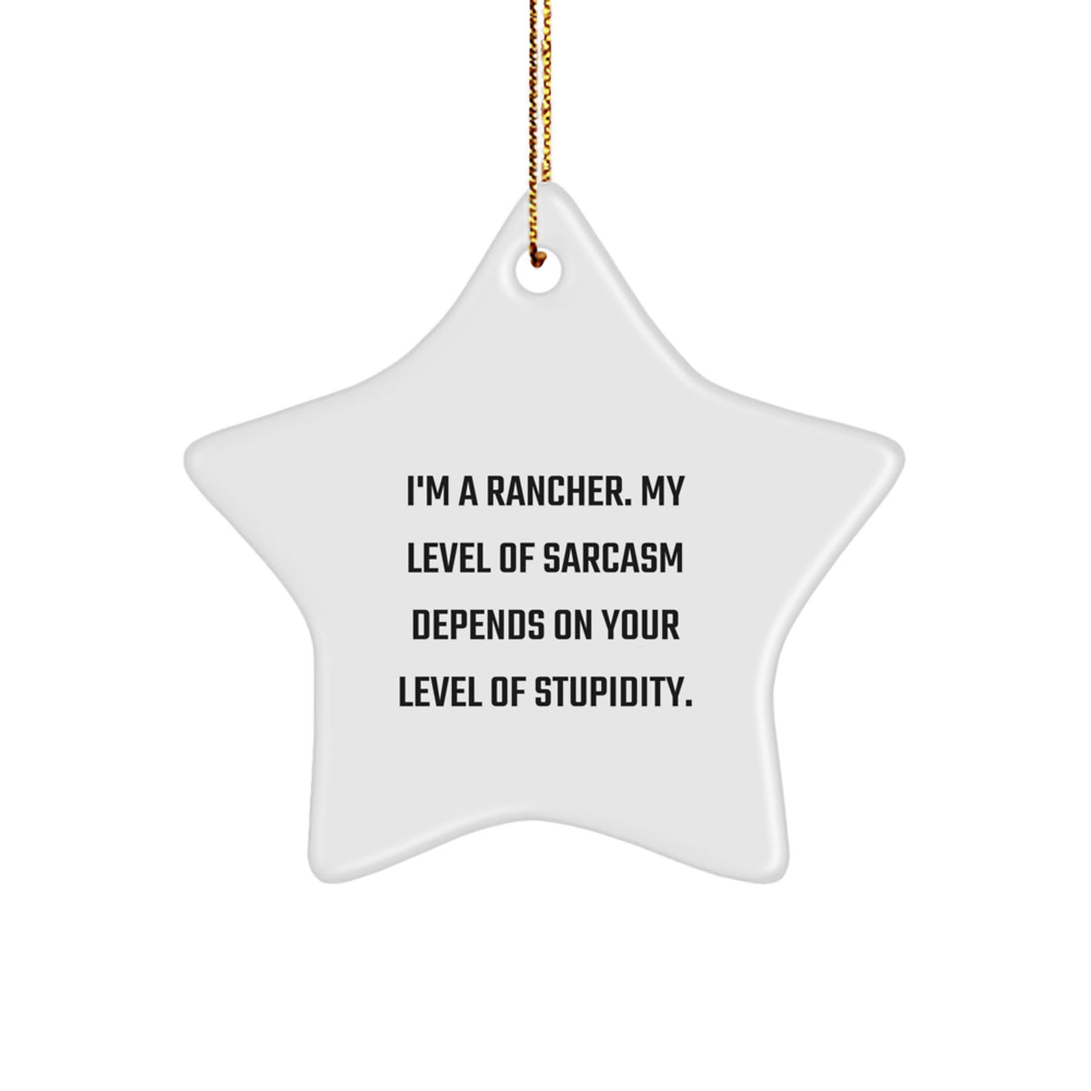 Funny Rancher Gifts from Friends for Men Star Ornament - Sarcasm Christmas Decoration - Image 1