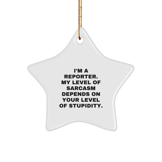 Funny Reporter Gifts from Friends Star Ornament, I'm A Reporter Sarcasm Level Star Decoration, Christmas Unique Gifts for Reporters - Image 1