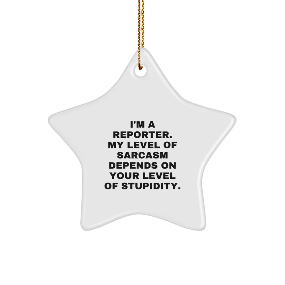Funny Reporter Gifts from Friends Star Ornament, I'm A Reporter Sarcasm Level Star Decoration, Christmas Unique Gifts for Reporters - Image 1