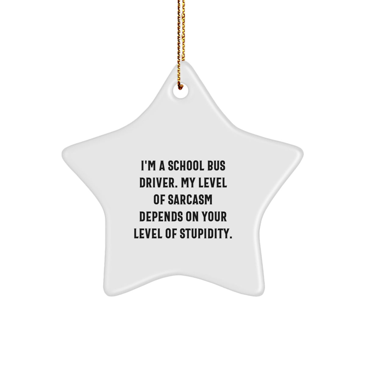 Funny School Bus Driver Gifts from Friends - Sarcasm Level Star Ornament for Christmas - Image 1
