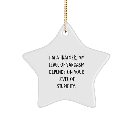 Funny Christmas Unique Gifts from Friends, Unique Trainer Star Ornament for Men, Women, Coworkers, or Family - Sassy Trainer Decor - Image 1