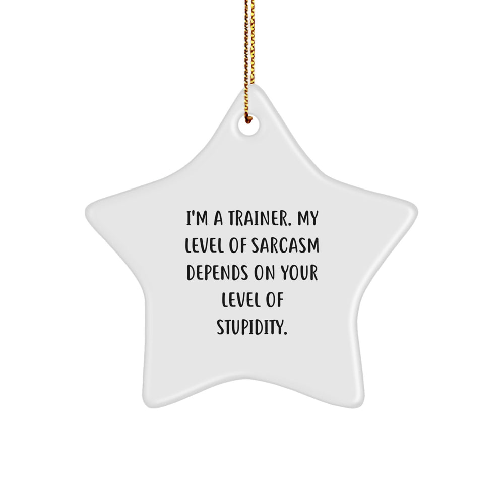 Funny Christmas Unique Gifts from Friends, Unique Trainer Star Ornament for Men, Women, Coworkers, or Family - Sassy Trainer Decor - Image 1