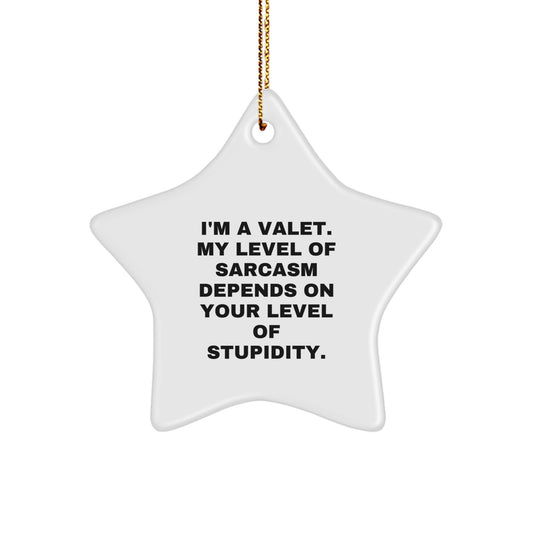 Funny Valet Star Ornament Gifts from Men, Women, Friends, Coworkers, Family - I'm A Valet. My Level Of Sarcasm Depends On Your Level Of Stupidity. Christmas Unique Gifts for Valet, Men, Women - Image 1