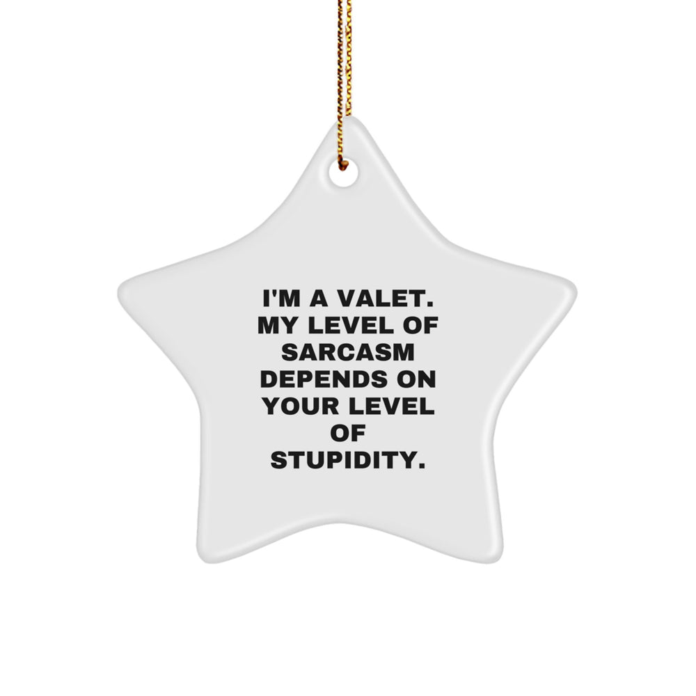 Funny Valet Star Ornament Gifts from Men, Women, Friends, Coworkers, Family - I'm A Valet. My Level Of Sarcasm Depends On Your Level Of Stupidity. Christmas Unique Gifts for Valet, Men, Women - Image 1