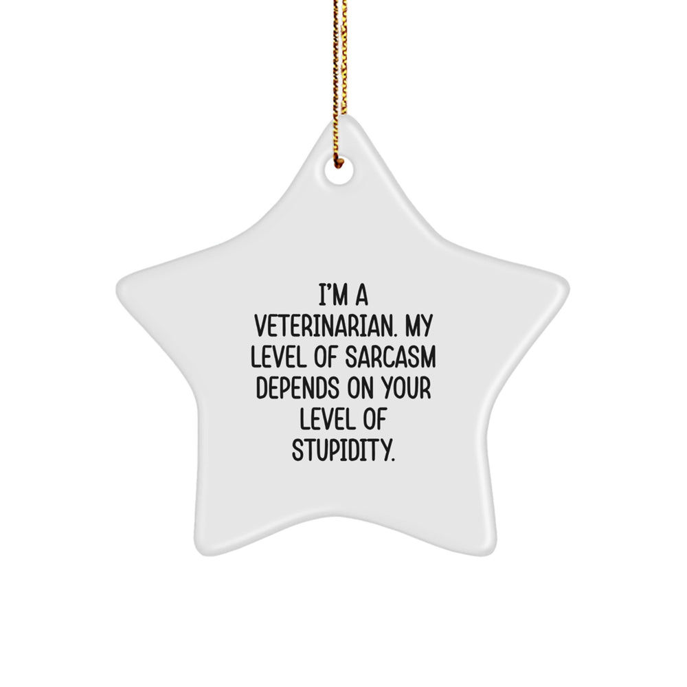 Funny Veterinarian Christmas Star Ornament Gifts for Veterinarians from Family, Friends, or Coworkers - I'm a Veterinarian, My Sarcasm Level Depends on Your Intelligence - Image 1