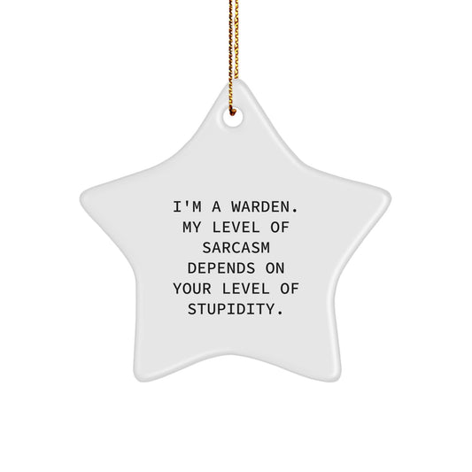 Funny Warden Gifts for Men, Christmas Unique Star Ornament Idea for Friends, Warden Star Decoration with Sarcasm Quote - Image 1