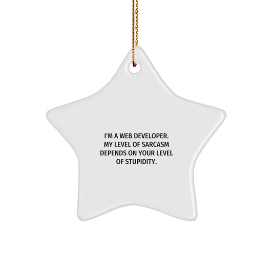 Web Developer Christmas Unique Gifts from Friends, Funny Star Ornament for Web Developer, 'I'm A Web Developer. My Level Of Sarcasm Depends On Your Level Of Stupidity.' - Image 1