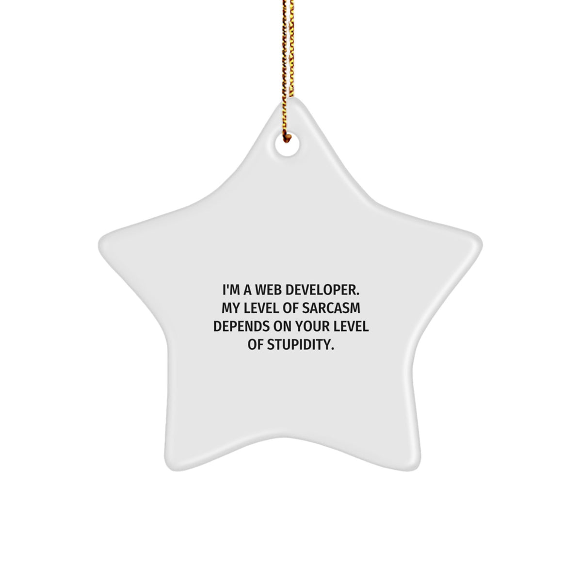 Web Developer Christmas Unique Gifts from Friends, Funny Star Ornament for Web Developer, 'I'm A Web Developer. My Level Of Sarcasm Depends On Your Level Of Stupidity.' - Image 1