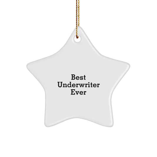 Funny 'Best Underwriter Ever' Star Ornament Gifts from Men for Women Underwriters at Christmas Unique Gifts - Image 1