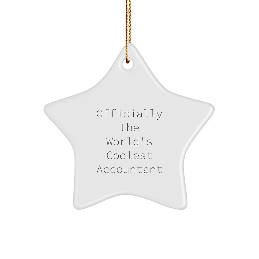 Funny Accountant Gifts from Men Star Ornament Officially The World's Coolest Accountant Christmas Unique Gifts for Accountant - Image 1