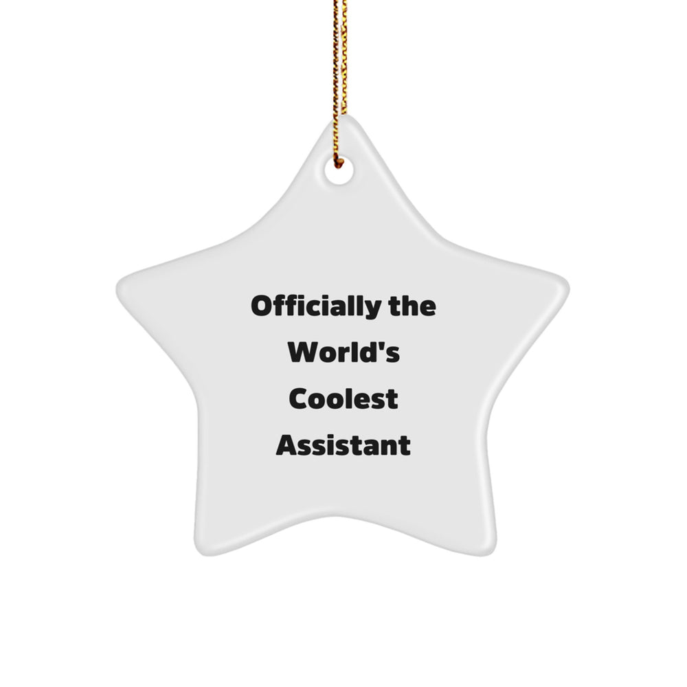 Funny Assistant Gifts from Friends for Assistant Men - Officially The World's Coolest Assistant Star Ornament, Unique Christmas Unique Gifts for Assistant, Funny Star Ornament - Image 1