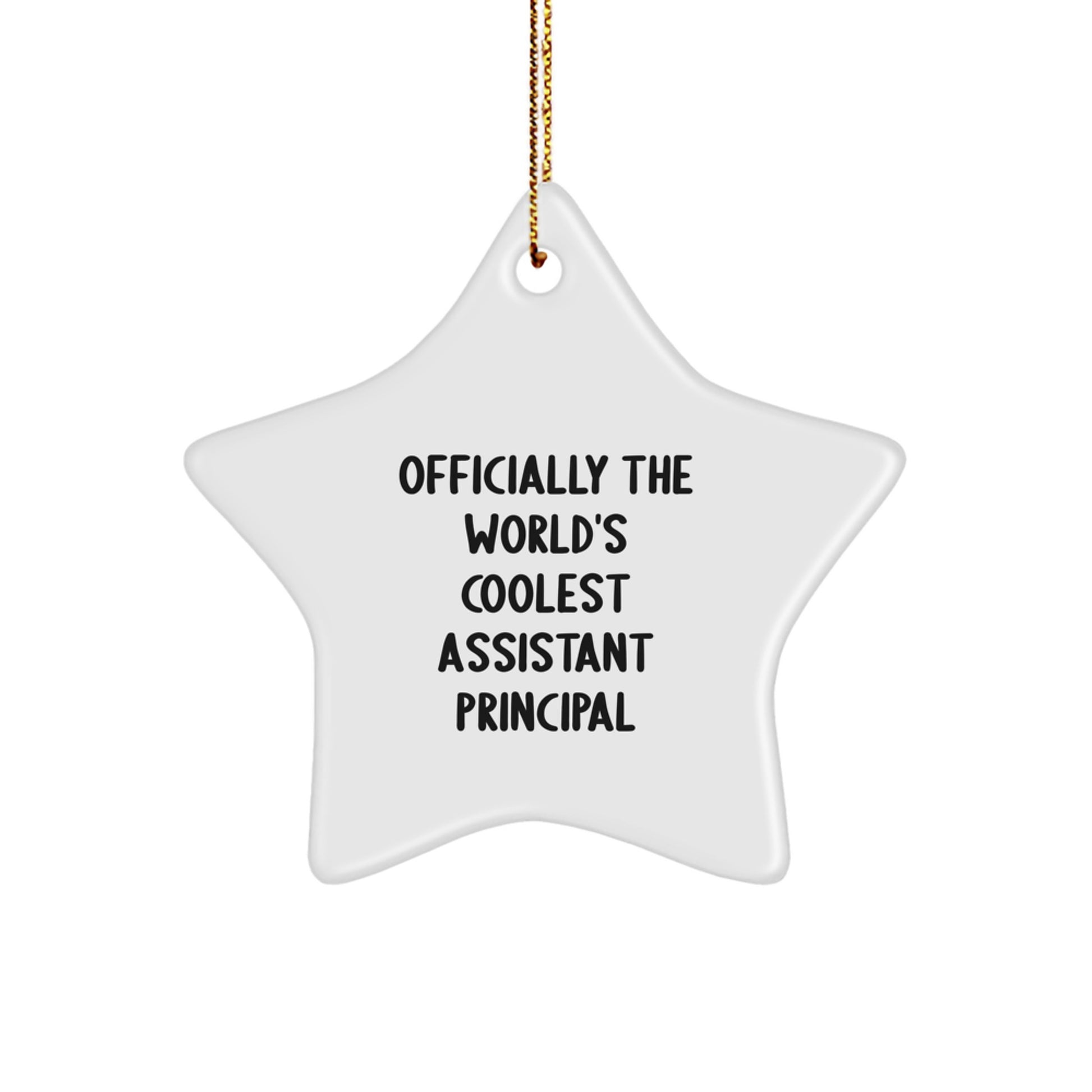 Funny Assistant Principal Star Ornament Gifts from Friends for Christmas Unique - Image 1