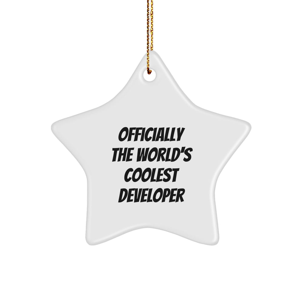 Funny Developer Gifts, Officially The World's Coolest Developer Star Ornament, Christmas Unique Gifts for Developer Friends and Family - Image 1