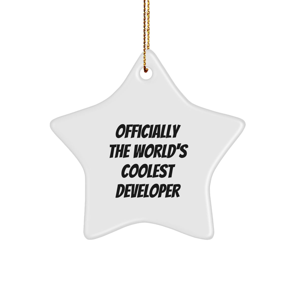 Funny Developer Gifts, Officially The World's Coolest Developer Star Ornament, Christmas Unique Gifts for Developer Friends and Family - Image 1
