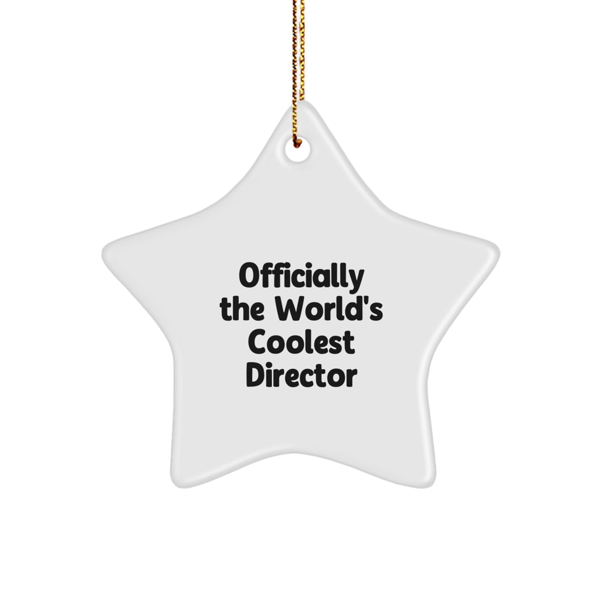 Funny Quotes Director Star Ornaments Gifts from Men, Women, Friends, Coworkers, Family for Christmas Unique Gifts - Image 1