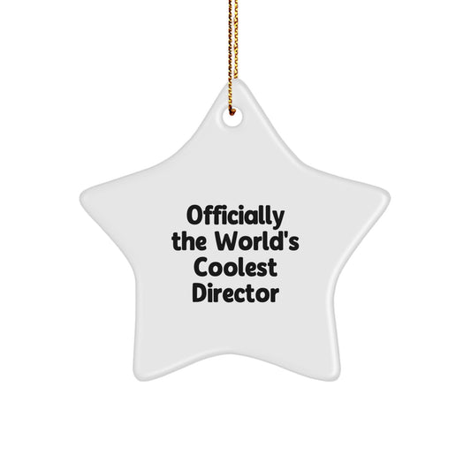 Funny Quotes Director Star Ornaments Gifts from Men, Women, Friends, Coworkers, Family for Christmas Unique Gifts - Image 1