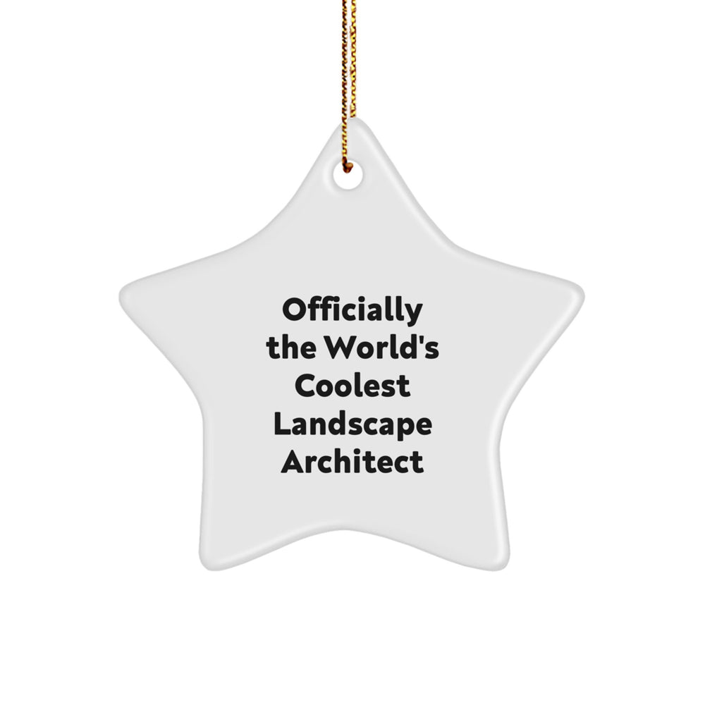 Funny Landscape Architect Gifts, Officially The World's Coolest Landscape Architect Star Ornaments, Christmas Unique Gifts from Friends to Landscape Architect - Image 1
