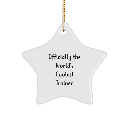 Funny Trainer Gifts from Friends for Men Christmas Unique Star Ornament - Officially The World's Coolest Trainer - Image 1
