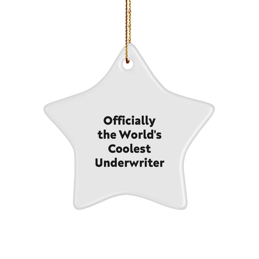 Funny Underwriter Gifts from Men to Colleagues - Officially The World's Coolest Underwriter Star Ornament for Christmas Unique Gifts - Image 1