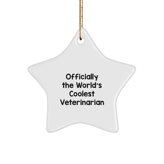  Funny Veterinary Star Ornament Gifts from Friends for the World's Coolest Veterinarian this Christmas - Image 1