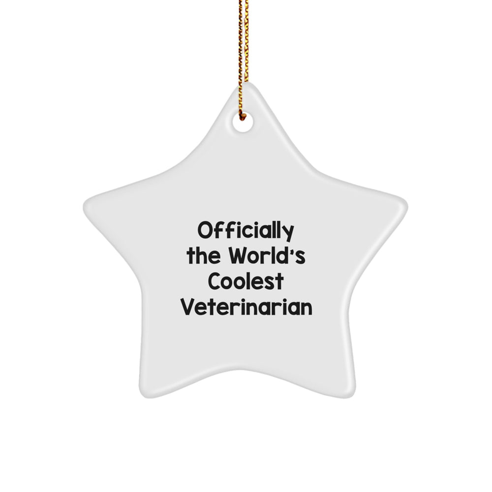  Funny Veterinary Star Ornament Gifts from Friends for the World's Coolest Veterinarian this Christmas - Image 1