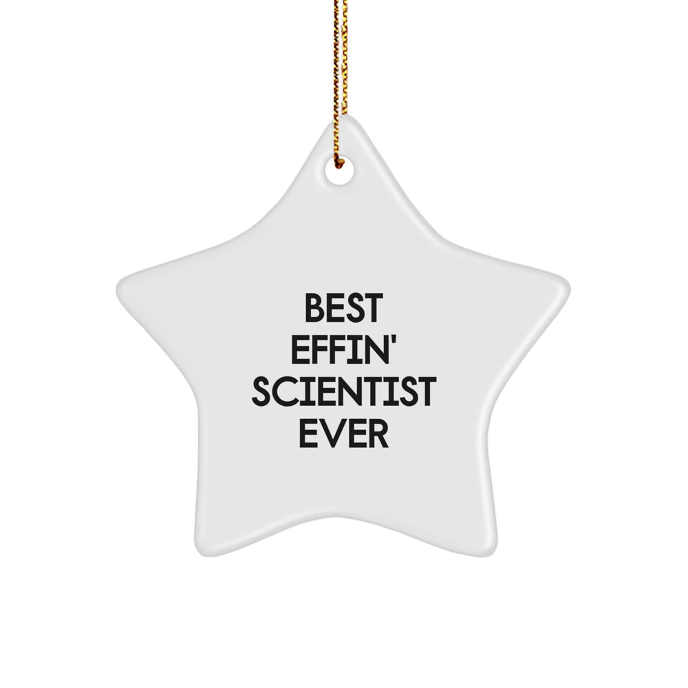 Funny Scientist Gifts from Friends Star Ornament for Best Effin' Scientist Ever Home Decor Christmas Unique Gifts - Image 1