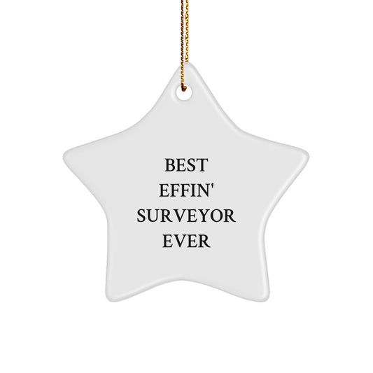 Funny Star Ornament Gifts for Surveyor, Best Effin' Surveyor Ever Christmas Unique Gifts from Friends, Perfect for Men or Women - Image 1