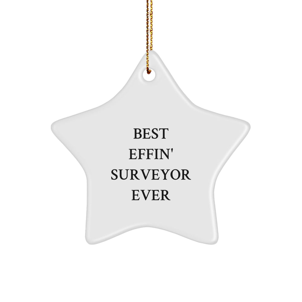Funny Star Ornament Gifts for Surveyor, Best Effin' Surveyor Ever Christmas Unique Gifts from Friends, Perfect for Men or Women - Image 1