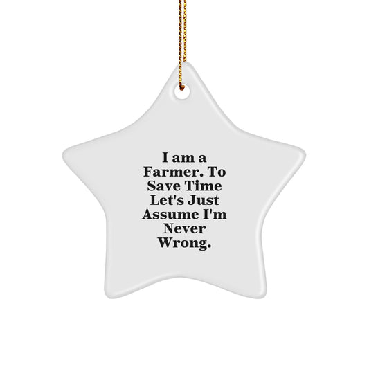 Funny Gift for Farmer Friends and Family Members Star Ornament with I Am A Farmer Quote Christmas Unique Gifts from Men to Women - Image 1