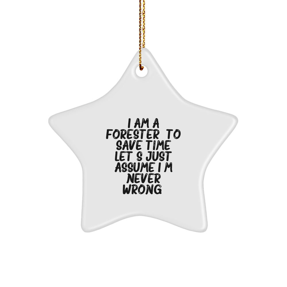 Forester Humor Gifts, Funny Star Ornament for Forester, Gifts from Friends for Christmas, Forester Quotes on MDF Star - Image 1