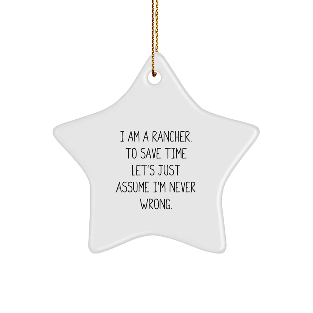 Funny Rancher Gifts from Family - Star Ornament for Men - White Star Decorations for Christmas Unique Gifts - Image 1