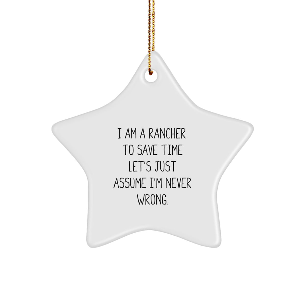 Funny Rancher Gifts from Family - Star Ornament for Men - White Star Decorations for Christmas Unique Gifts - Image 1