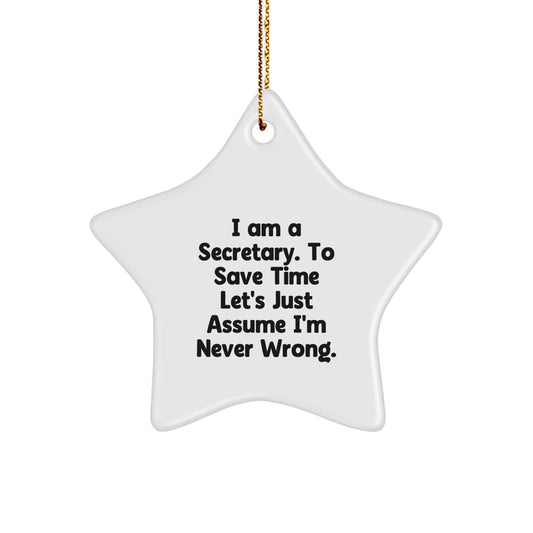 Funny Secretary Christmas Unique Gifts from Men to Women, Secretary Star Ornament for Secretary Desk, Office Decorations for Secretary at Work, Secretary Unique Gifts for Office - Image 1
