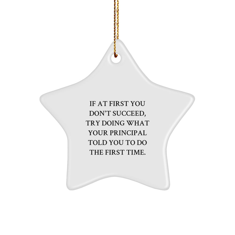 Principal Gifts - Funny Star Ornament for Christmas - Gifts from Men to Principal, White Star Shaped Decoration - Image 1