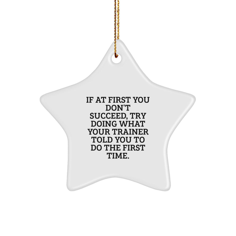 Funny Trainer Quotes Star Ornament Gifts from Men to Trainer Friends Christmas Unique Gifts - Image 1