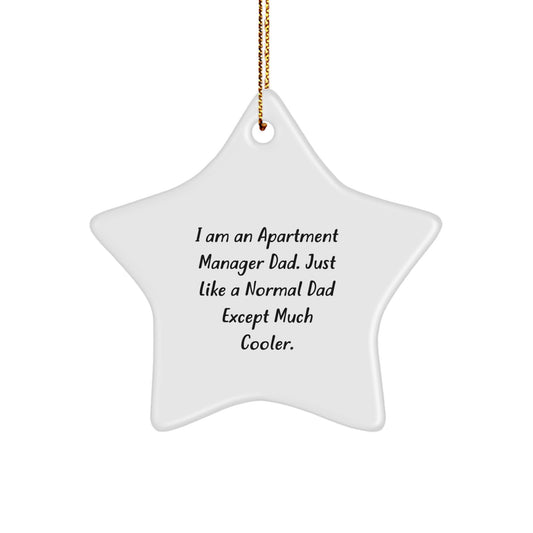 Funny Apartment Manager Gifts from Dad - Star Ornament for Christmas Unique - Image 1