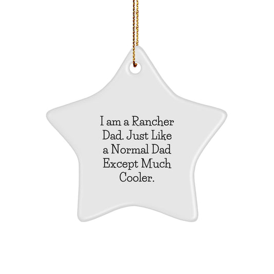 Funny Rancher Gifts from Dad for Christmas - Star Ornament for Rancher Dads - I'm a Rancher Dad Gifts - Image 1