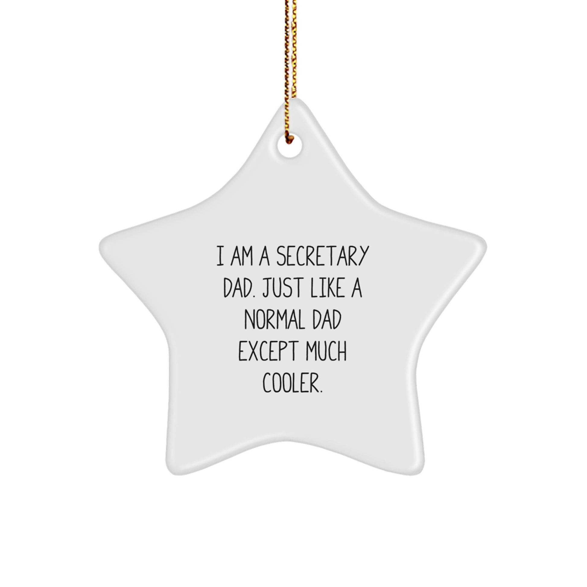 Funny Secretary Dad Star Ornament Gifts for Secretaries from Men - White Star Shaped MDF Christmas Unique Gifts - Image 1