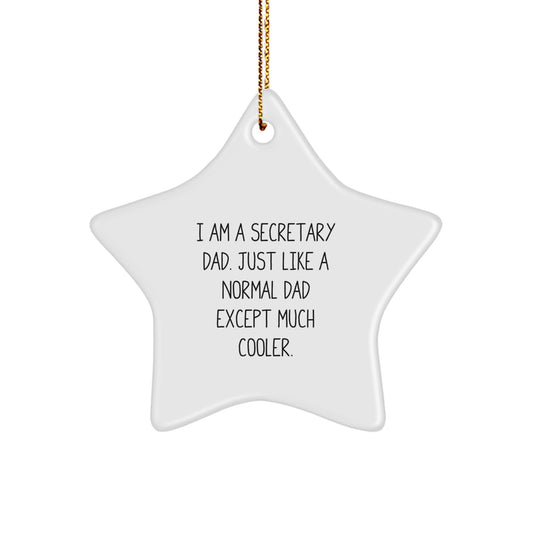 Funny Secretary Dad Star Ornament Gifts for Secretaries from Men - White Star Shaped MDF Christmas Unique Gifts - Image 1