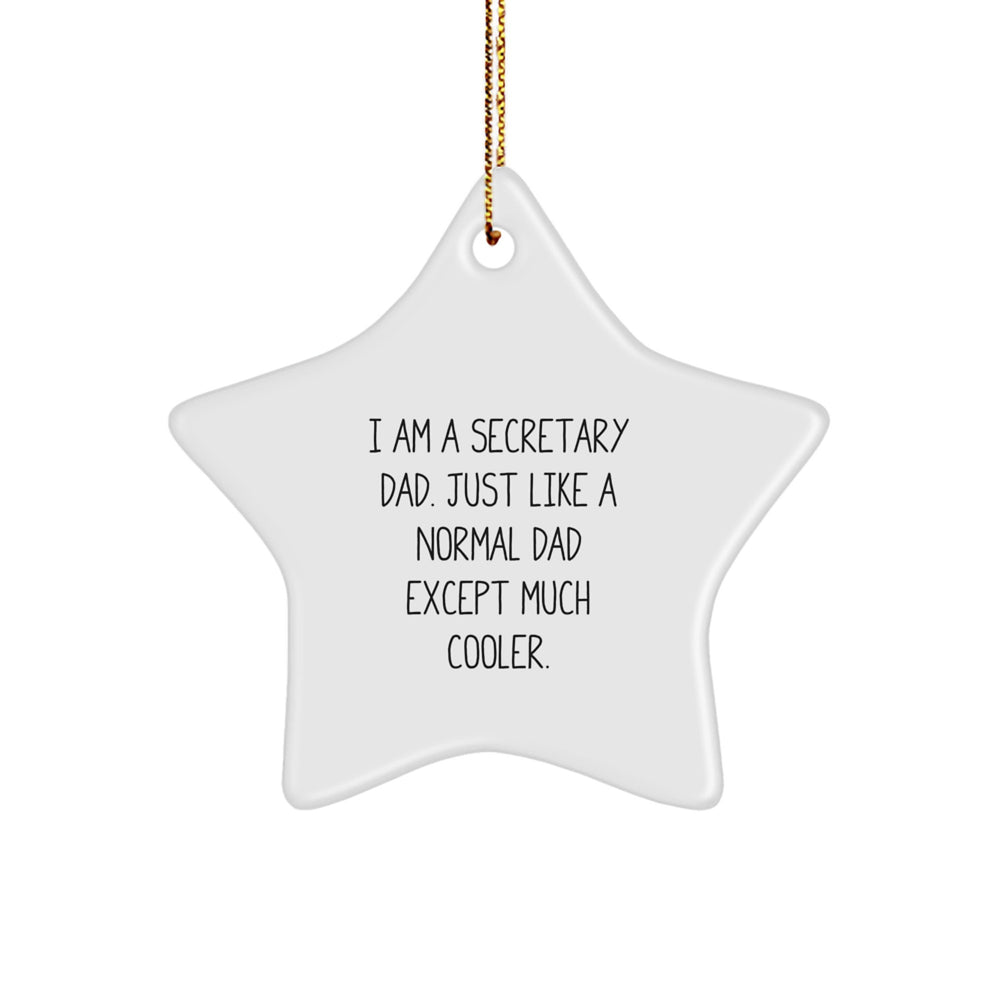 Funny Secretary Dad Star Ornament Gifts for Secretaries from Men - White Star Shaped MDF Christmas Unique Gifts - Image 1