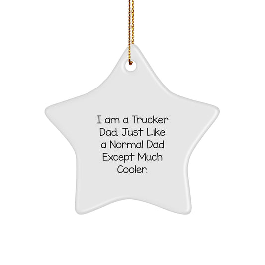 Funny Trucker Dad Gifts from Men to Trucker - Star Ornament for Christmas Unique Gifts - Image 1