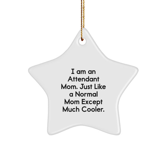 Funny Attendant Mom Gifts from Men to Women for Christmas Unique Star Ornament for Attendant Friends and Family - Image 1