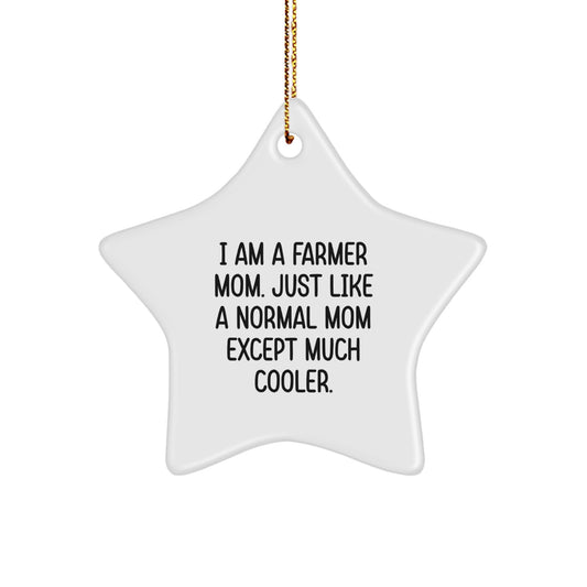 Farmer Gifts from Family - Funny Mom Star Ornament for Christmas Unique Presents - Image 1