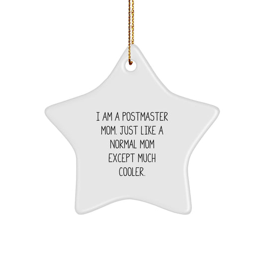 Funny Postmaster Mom Gifts from Family to Mom Postmaster Star Ornament for Christmas Unique - Image 1